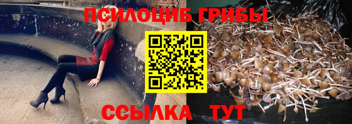 Псилоцибиновые грибы MAGIC MUSHROOMS  закладка  Вход с VPN  Ухта  Псилоцибиновые грибы Psilocybine cubensis 